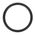 O-Ring 1" Id X 3/32" Width for Server Products Part# SER85248