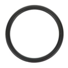 O-Ring 1" Id X 3/32" Width for Server Products Part# SER85248