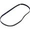 Saniserve Serpentine Belt for Saniserv Part# SS58880