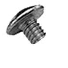 Hinge Pin Screw for Duke Part# TA-8