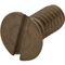 Screw - Spray Face  for T&S Brass Part# TS921-45