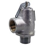 Cbr020 3/4In P/T Relief Valve 550 Lb/Hr