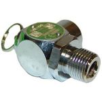 Cbr040* 1/2In P/T Relief Valve 232 Lb/Hr