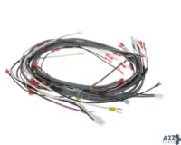 Champion - Moyer Diebel 0512538-1 Wire Harness, DFM7.5