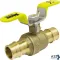 Full Flow Forged Brass Ball Valve with Stainless Steel Wing Style "T" Handle