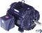Blue Chip® Severe Duty/Cooling Tower Motor