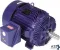 Blue Chip® Severe Duty/Cooling Tower Motor