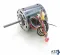 Motor, 3/4 HP, 115V, 1-Phase: For AHXW36000A1, Fits Heil Quaker/ICP Brand