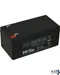 Battery, Rechargeable (12V Dc) for Detex Corporation