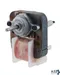 Motor, Condnsr/Evap Fan (120V) for Glastender - Part # GLA06001445