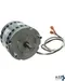 Motor, Pump (D-35) for Crathco